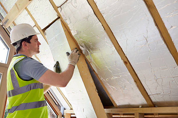 Best Specialized Insulation Services in Kent, OH